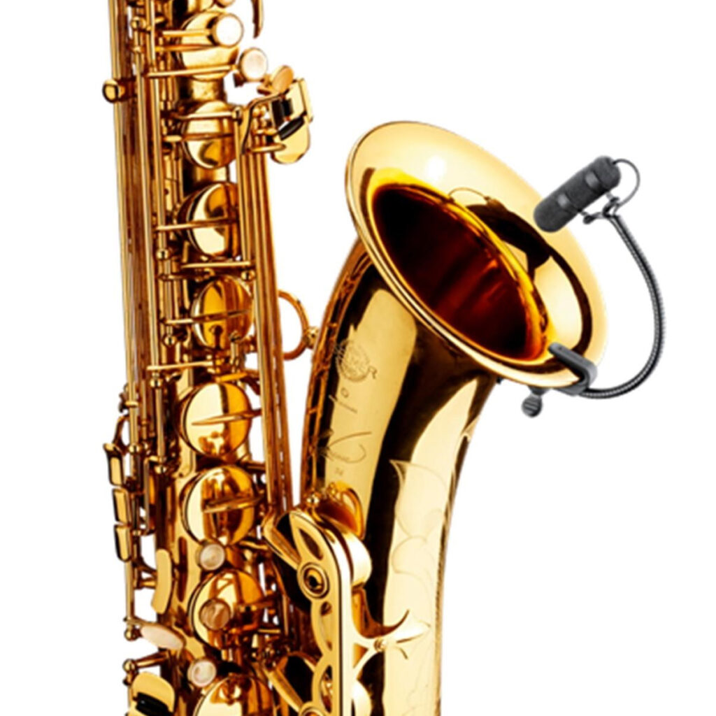 DPA 4099S Microfono sax