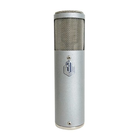 BeesNeez Isobel condenser microphone